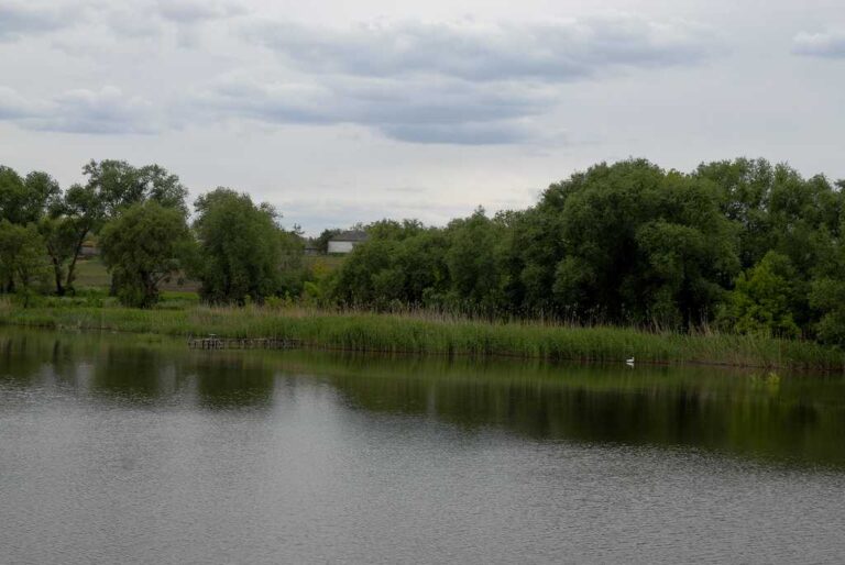 Про село Дубинове: вікові дуби, віники та цілюще джерело