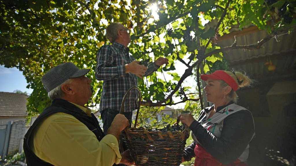 Болгарські традиції на півдні Одещини: про село Баннівка, де є все для щасливого життя