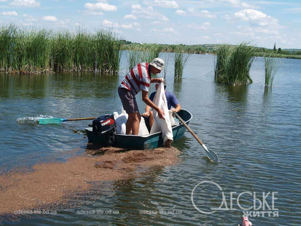 На Одещині рибалки самостійно зарибили річку та врятували її