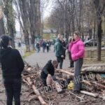 В Одесі на жінку впало дерево