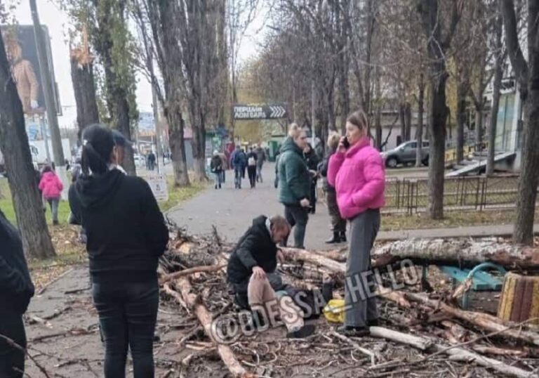 В Одесі на жінку впало дерево
