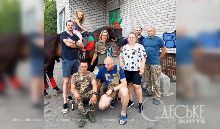 Кінь Парк, врятований одеськими ветеринарами, допомагає з реабілітацією військових