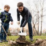 Які дерева не можна саджати восени і чому