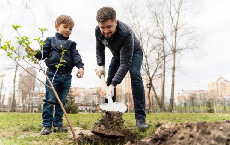 Які дерева не можна саджати восени і чому