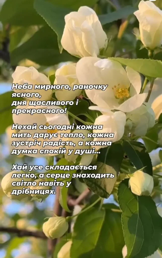 Доброго ранку, гарного дня: картинки, листівки