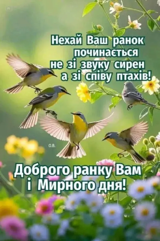 Доброго ранку, гарного дня: картинки, листівки