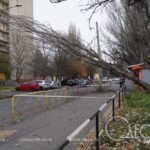 В Одесі сильний вітер повалив дерева та рекламні щити (фото)