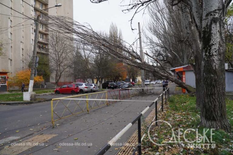 В Одесі сильний вітер повалив дерева та рекламні щити (фото)