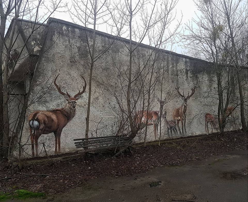 тури, міфи та майбутнє зони відчуження