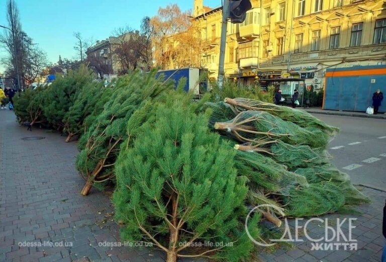 В Одесі запрацював ялинковий базар поруч із Привозом