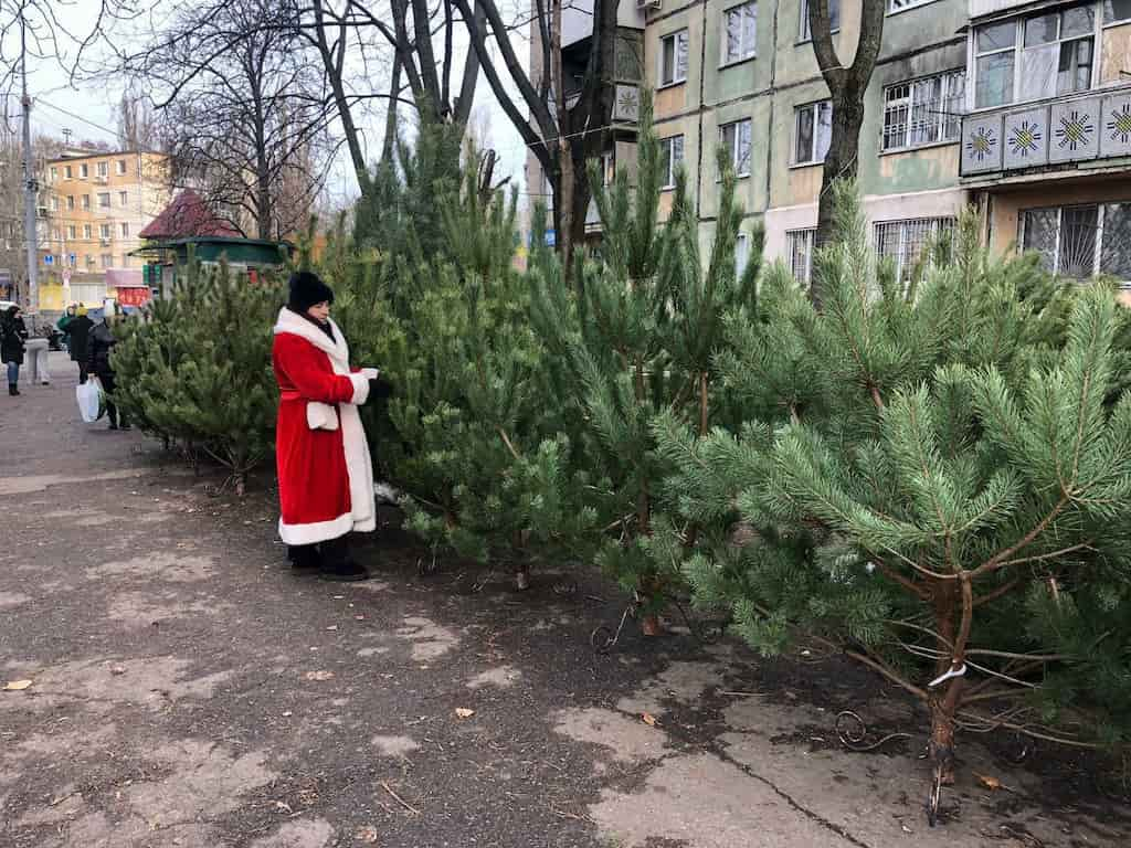 Де в Одесі можна купити ялинку