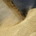 Сирія може отримати продовольство з України, заявив міністр Коваль