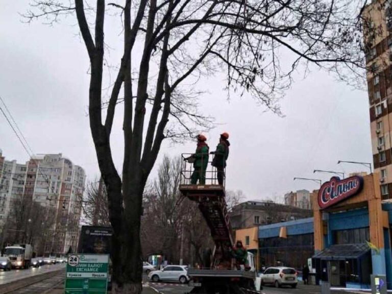 В Одесі підрізають дерева на Французькому бульварі