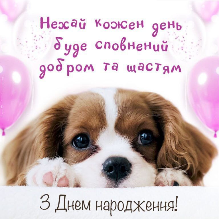 З днем народження хлопчика: картинка 