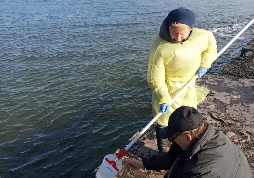 В Одесі перевірили якість морської води: чи вплинув на неї розлив мазуту в Криму