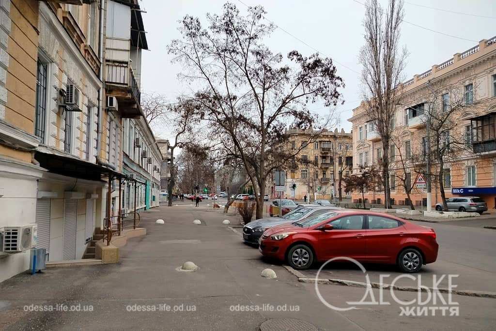 Січень по-одеськи: тихі вулиці, новорічні букети (фоторепортаж)