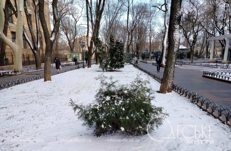 Лютий по-одеськи: таки сніг! (фоторепортаж)
