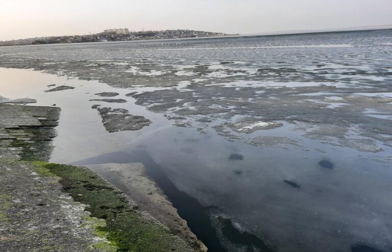 Екологи оцінили стан водної екосистеми Хаджибейського лиману