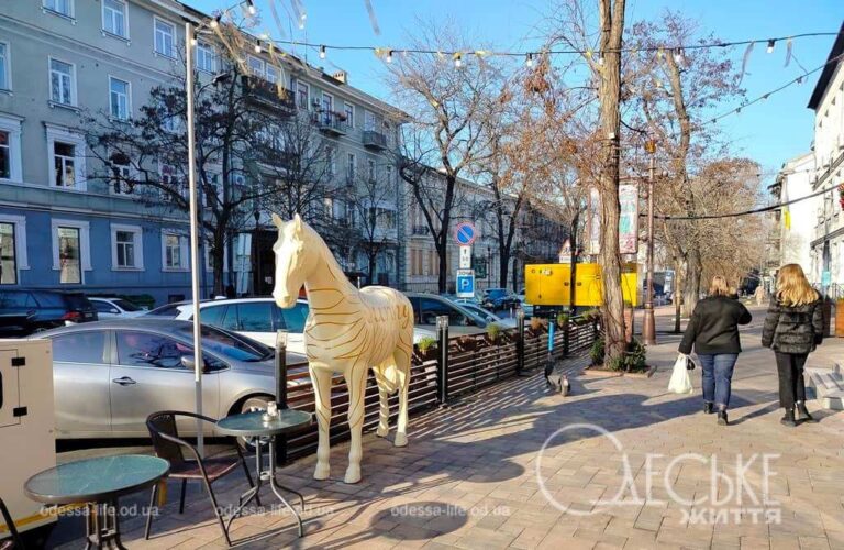 В Одесі на Гаванній оселився кінь
