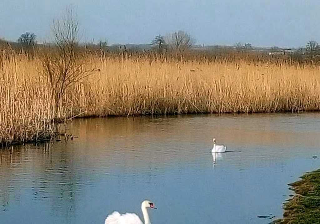 історія та легенди двох сіл на Кодимі