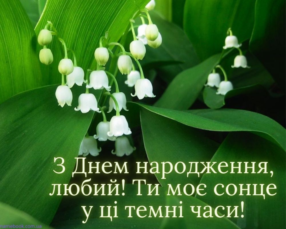 З Днем Народження чоловікові картинка