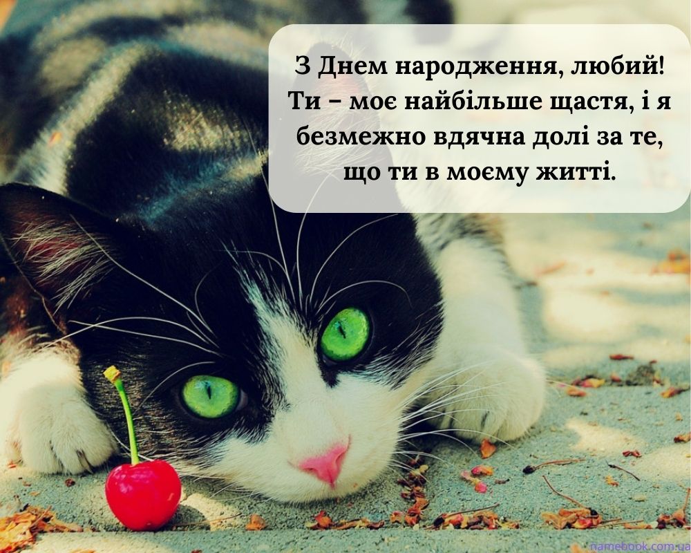 З Днем Народження чоловікові картинка