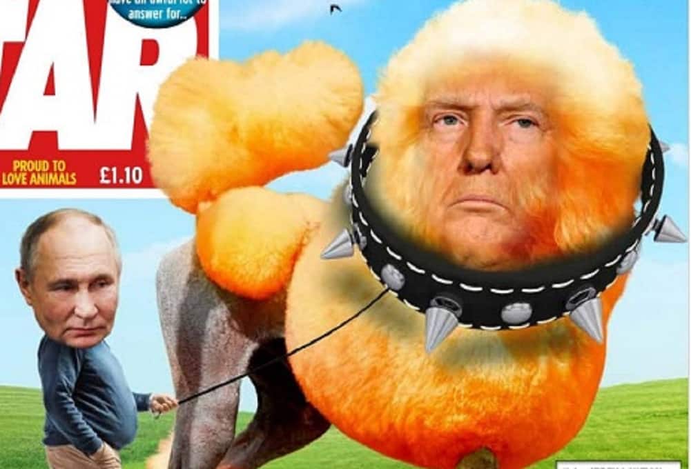 жарти та меми про Трампа та путіна