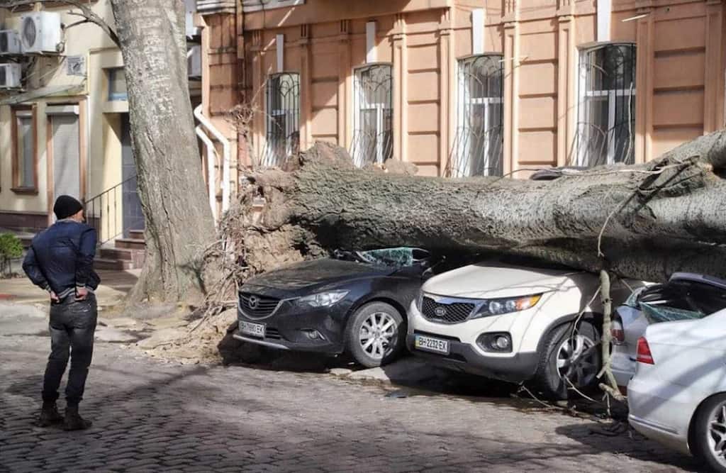 Одеситка відсудила у міста 74,5 тис. грн за пошкоджене авто