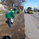 В Одесі тривають роботи з оновлення газонів на Миколаївській дорозі