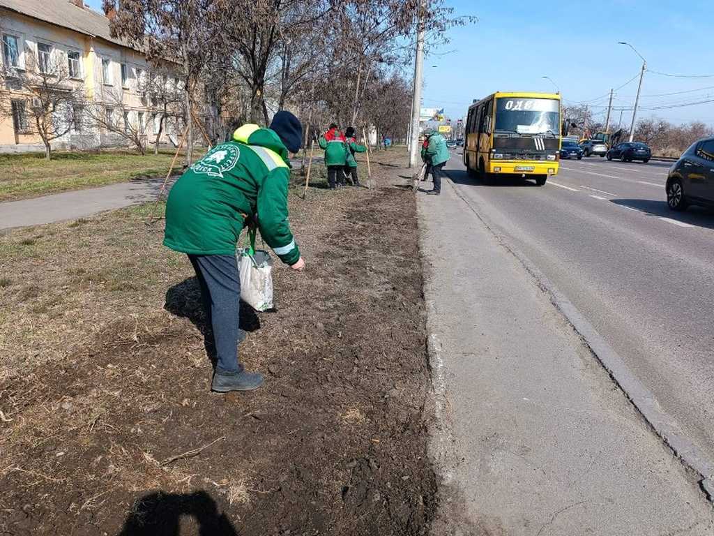 В Одесі тривають роботи з оновлення газонів на Миколаївській дорозі