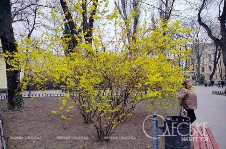 Прогноз погоди в Одесі на 26 березня