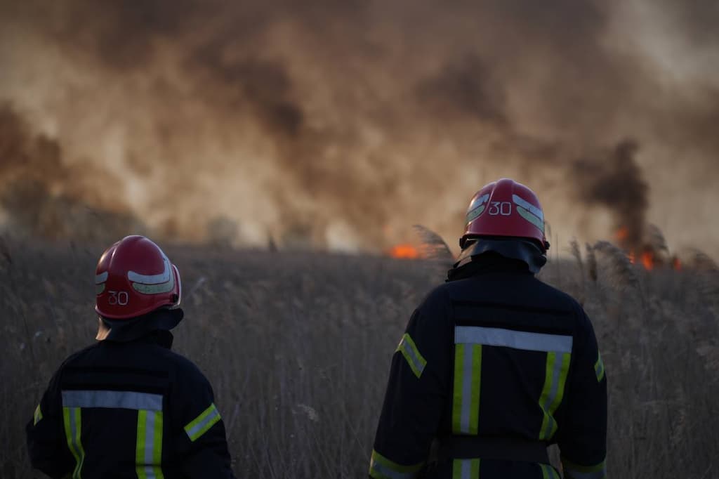 Пожежу під Одесою загасили, але плавні горітимуть і далі – науковець