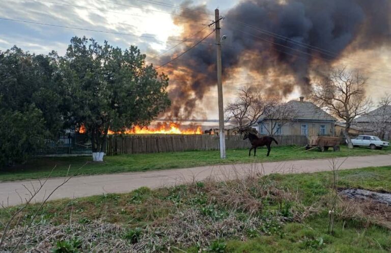 Через підпал на озері Китай виникла масштабна пожежа