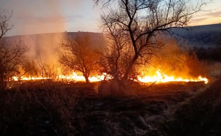 Одеські рятувальники понад 130 разів виїжджали на пожежі
