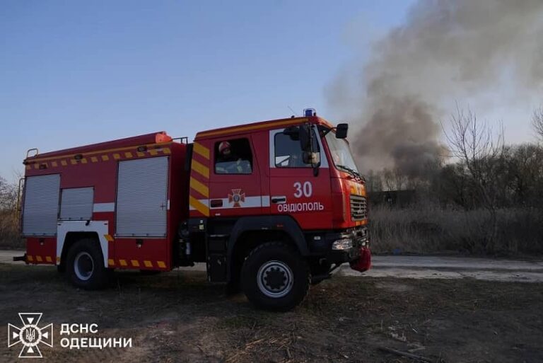 Масштабна пожежа під Одесою завдала багатомільйонних збитків навколишньому середовищу