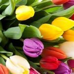 Топ-5 подій, які варто відвідати в Одесі 7-9 березня