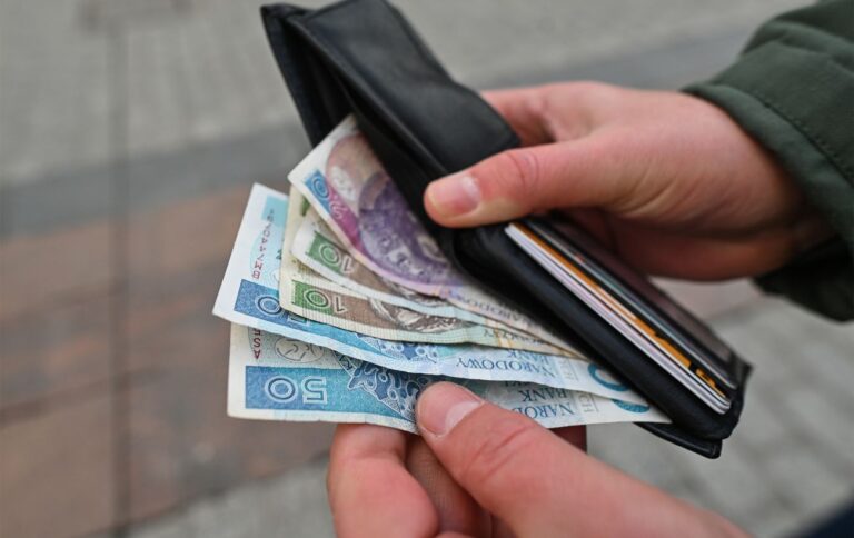 Курс злотого НБУ на 22 квітня зріс до 11,17 гривень
