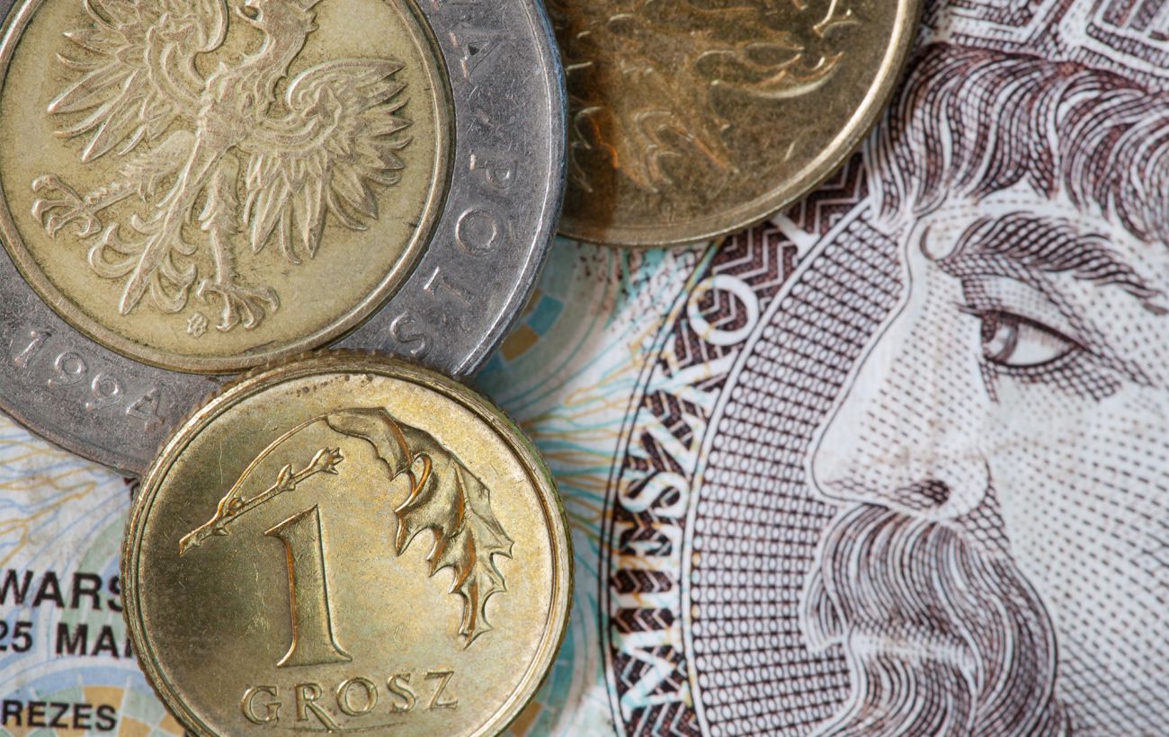 Курс злотого НБУ на 11 квітня зріс до 10,77 гривень