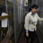Росія вивозить із України археологічні знахідки та музейні колекції – повертають завдяки західним партнерам