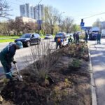 В Одесі висадили понад 300 молодих дерев у квітні