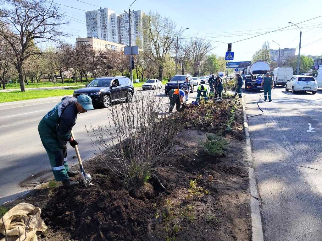 В Одесі висадили понад 300 молодих дерев у квітні