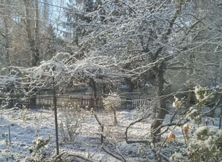 Північ Одеської області засипало снігом