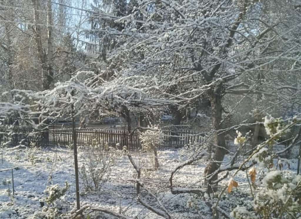 Північ Одеської області засипало снігом
