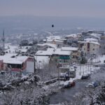 Сільське господарство Туреччини постраждало через морози – що відомо