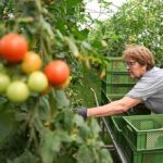 Заморозки в Україні – що чекає на українських фермерів весною