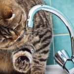 Відключення води 28 травня у Приморському районі Одеси – список вулиць