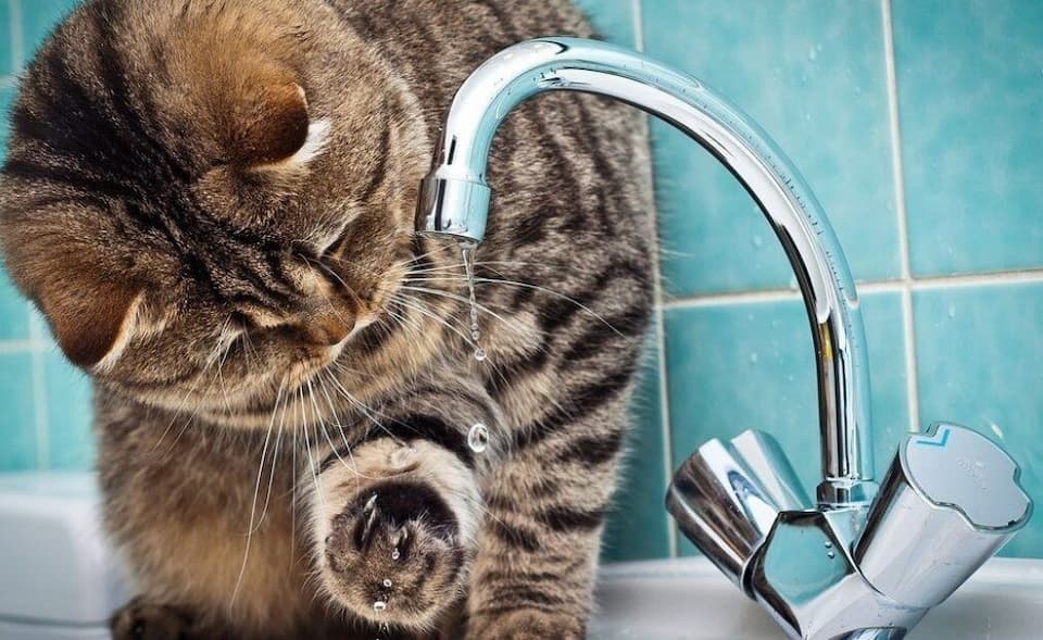 Відключення води 28 травня у Приморському районі Одеси – список вулиць