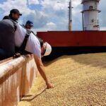 Одеські порти забезпечують 60% українського експорту