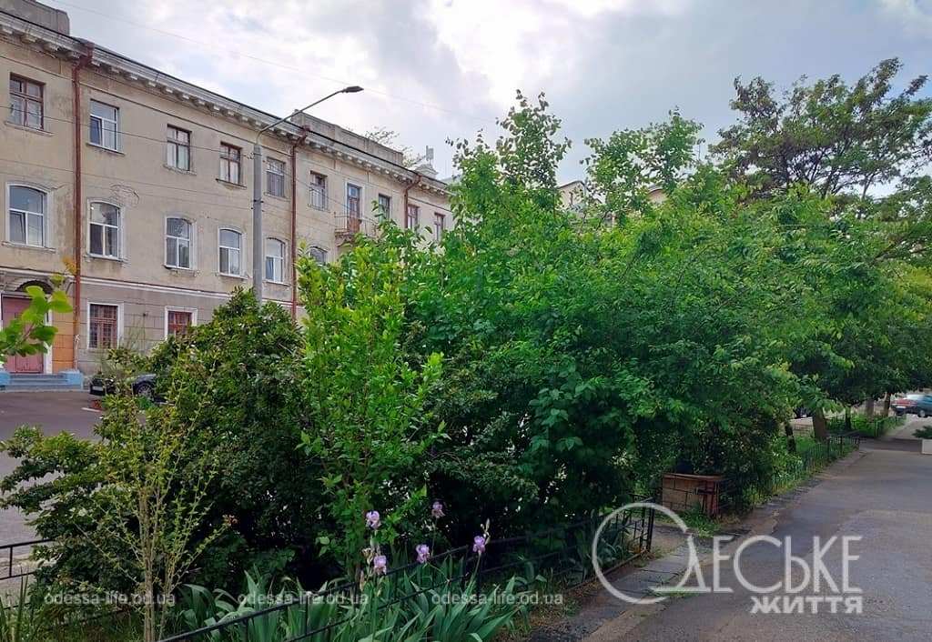 Погода в Одесі та області 25 травня 2025 – прогноз від Гідрометцентру