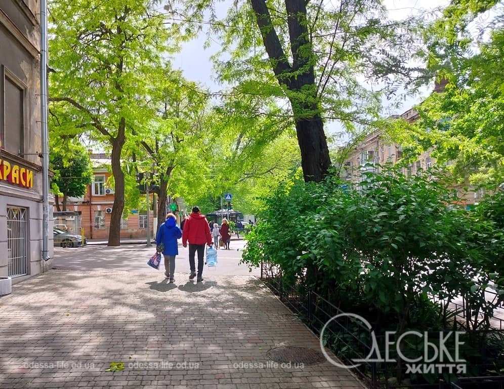 Погода в Одесі 18 травня: без дощів, до +18 та теплий вітер